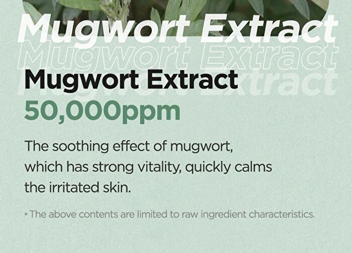 Mugwort Calming Clay Mask Mini - 20ml