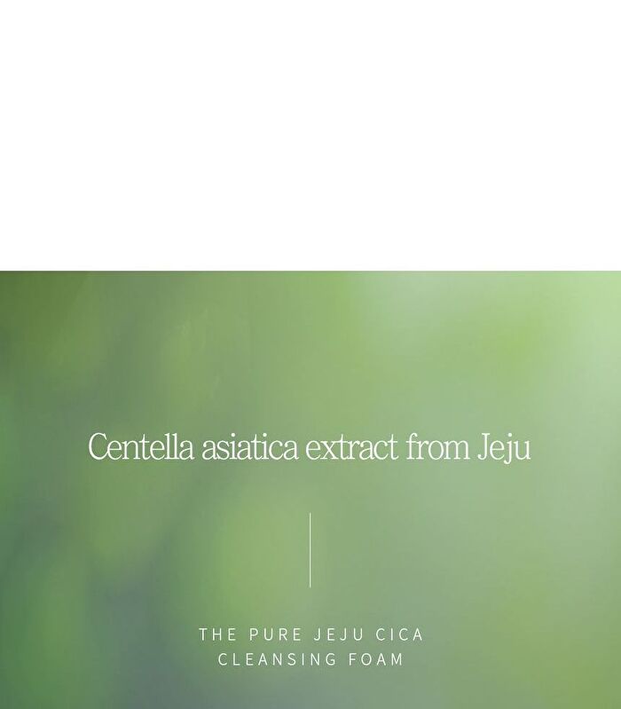 The Pure Jeju Cica Cleansing Foam - 150ml