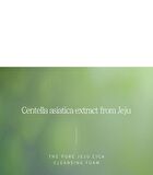The Pure Jeju Cica Cleansing Foam - 150ml