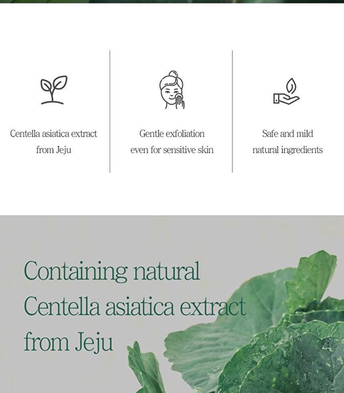 The Pure Jeju Cica Cleansing Foam - 150ml