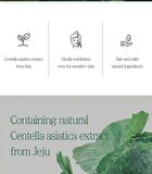 The Pure Jeju Cica Cleansing Foam - 150ml