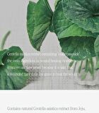 The Pure Jeju Cica Cleansing Foam - 150ml