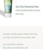 The Pure Jeju Cica Cleansing Foam - 150ml