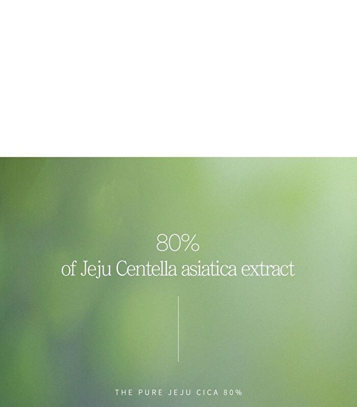 The Pure Jeju Cica 80 Ampoule - 50ml