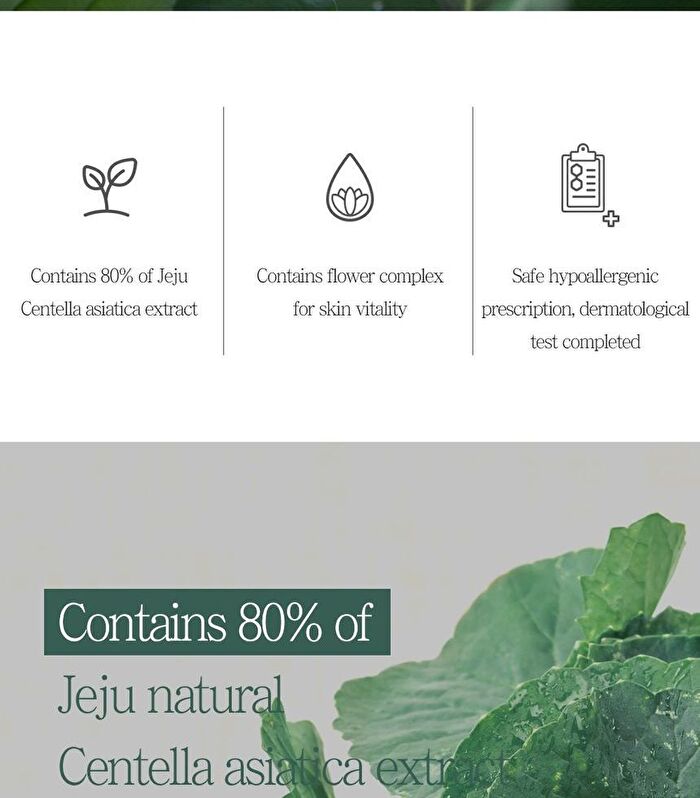 The Pure Jeju Cica 80 Ampoule - 50ml