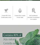 The Pure Jeju Cica 80 Ampoule - 50ml