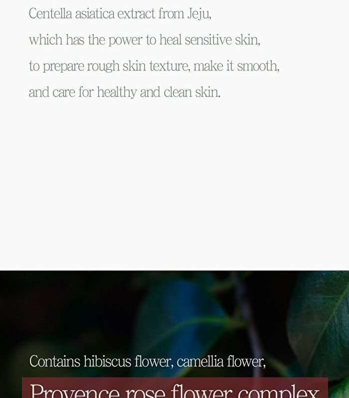 The Pure Jeju Cica 80 Ampoule - 50ml