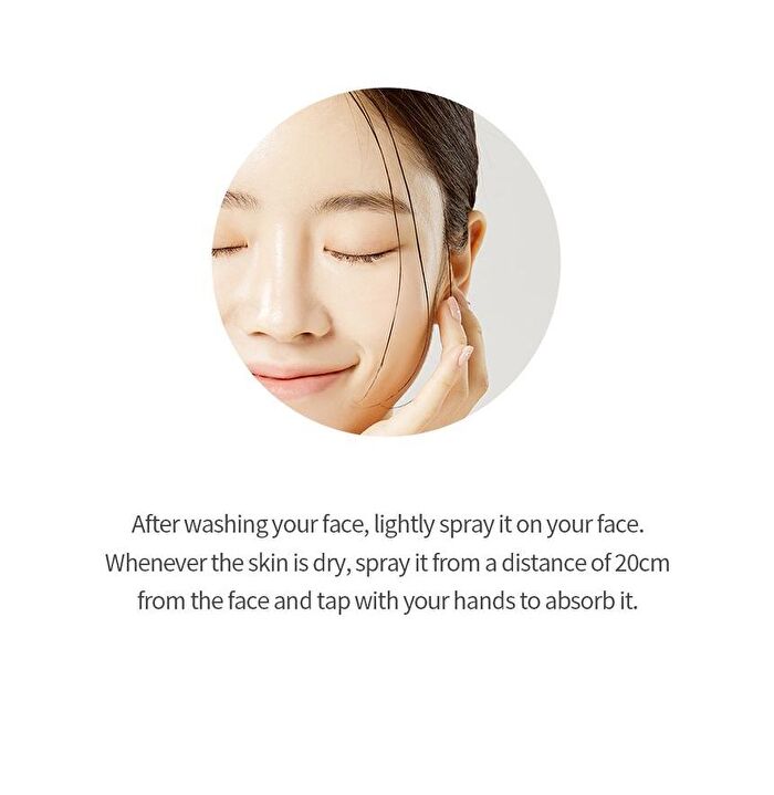 The Pure Jeju Cica 99 Mist - 100ml