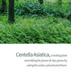 The Pure Jeju Cica 99 Mist - 100ml
