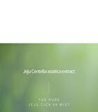 The Pure Jeju Cica 99 Mist - 100ml