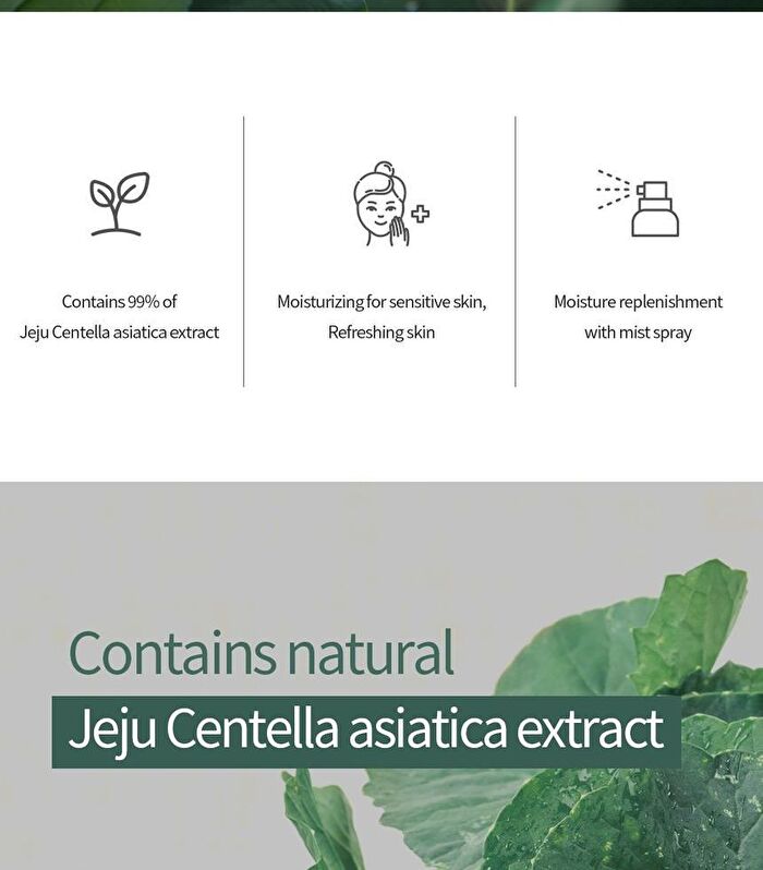 The Pure Jeju Cica 99 Mist - 100ml