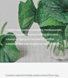 The Pure Jeju Cica 99 Mist - 100ml
