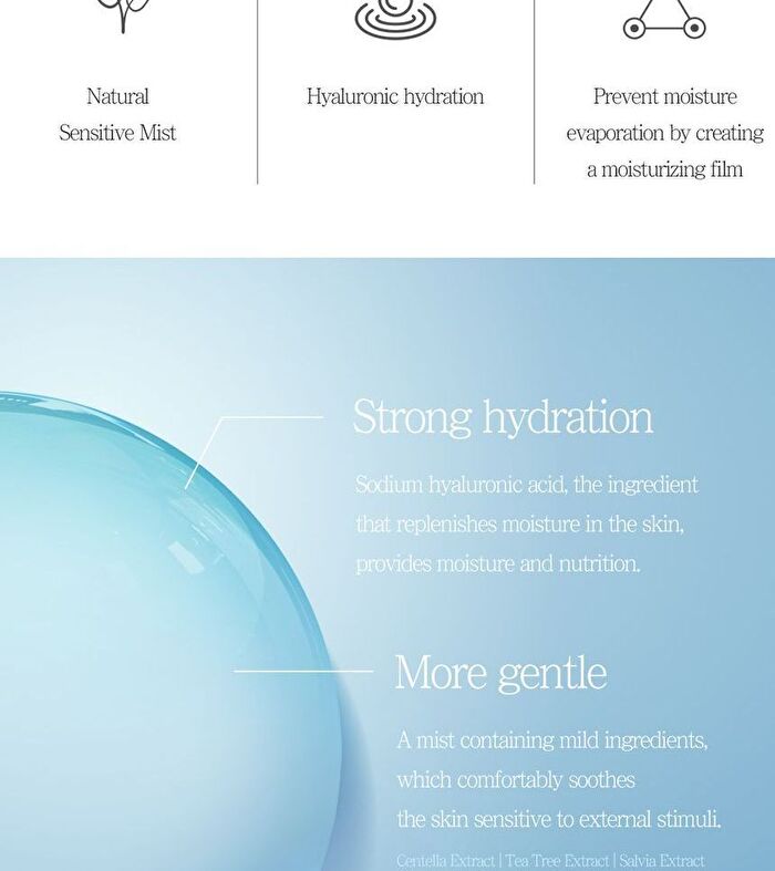 Hyaluronic Acid Moisturizer Mist - 100ml