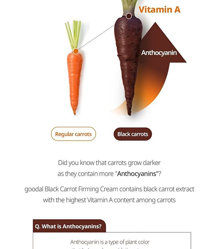 Black Carrot Vita-A Retinol Firming Cream - 50ml