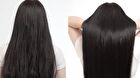 Milk Protein Intensive Hair Oil - 4 Types - Verbena Lavender