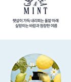 Coollime Acne Body Wash - Greentea Mint