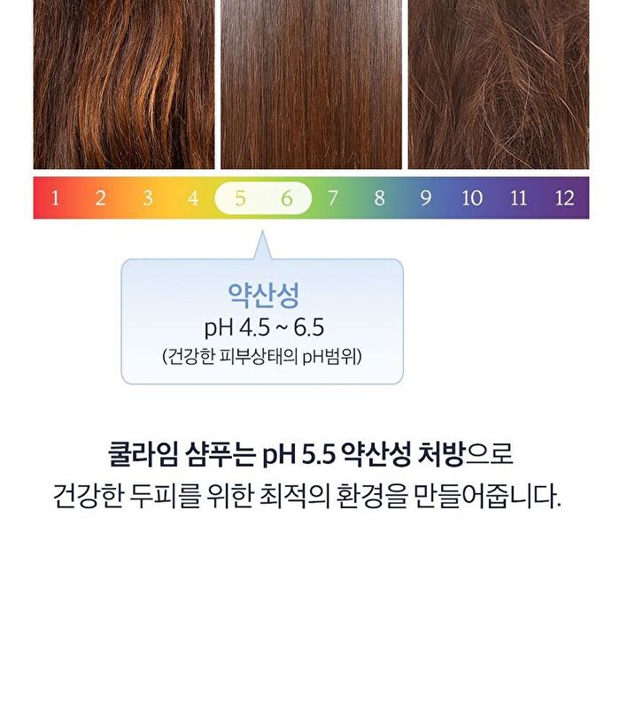 Coollime Shampoo - Greentea Mint