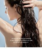 Coollime Shampoo - Greentea Mint