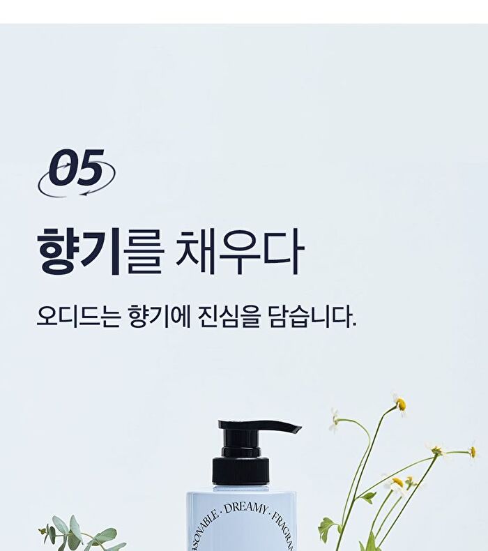 Coollime Shampoo - Greentea Mint