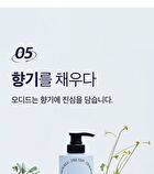 Coollime Shampoo - Greentea Mint