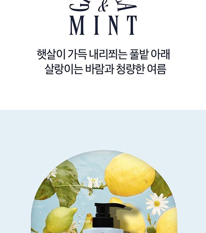 Coollime Shampoo - Greentea Mint