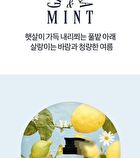 Coollime Shampoo - Greentea Mint