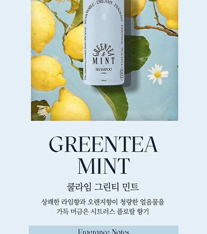 Coollime Shampoo - Greentea Mint