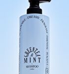 Coollime Shampoo - Greentea Mint