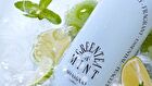Coollime Shampoo - Greentea Mint