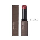 Lip Color Shield - 05 Antique Rose