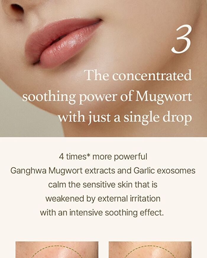 Mugwort Serum - 30ml