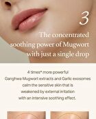 Mugwort Serum - 30ml