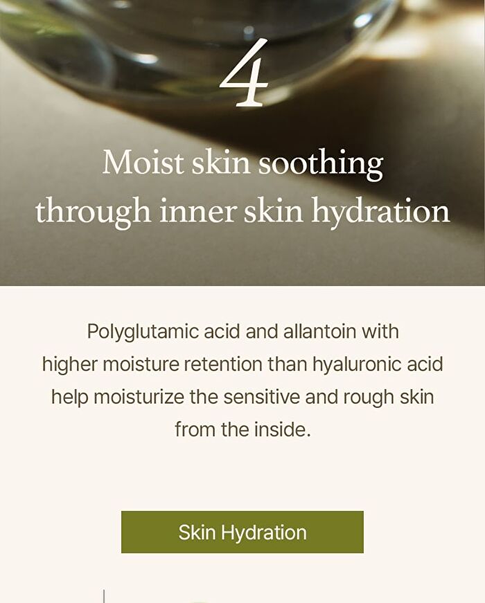 Mugwort Serum - 30ml