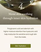 Mugwort Serum - 30ml