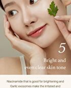 Mugwort Serum - 30ml