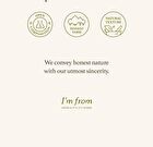Mugwort Serum - 30ml