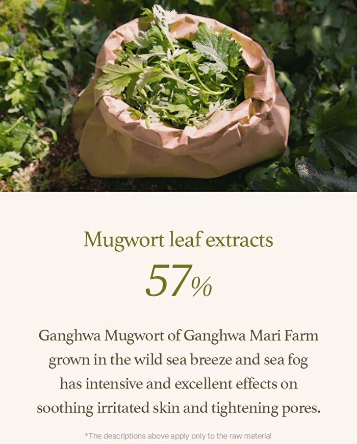 Mugwort Serum - 30ml