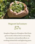 Mugwort Serum - 30ml