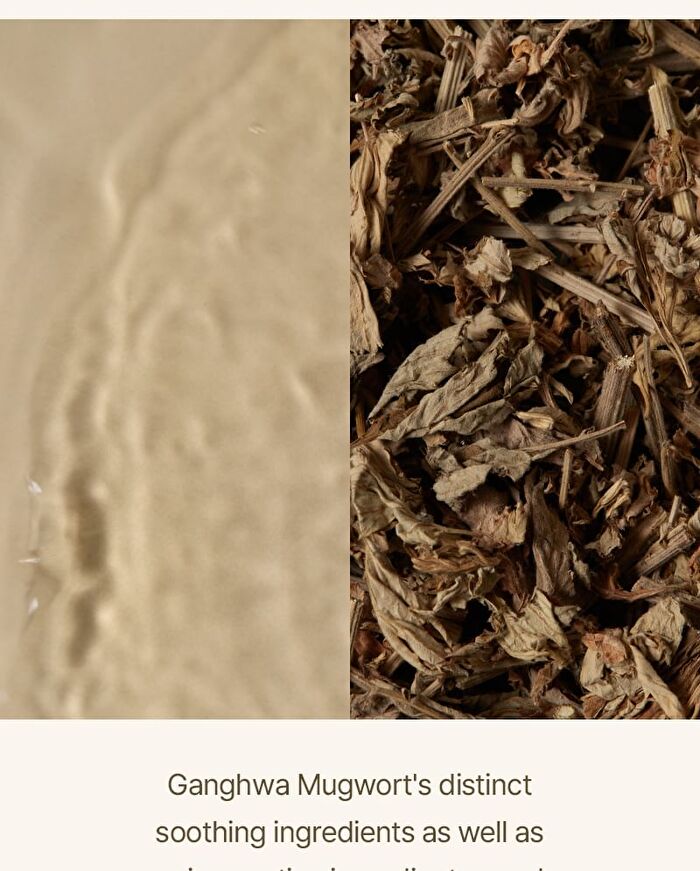 Mugwort Serum - 30ml