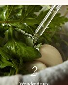 Mugwort Serum - 30ml