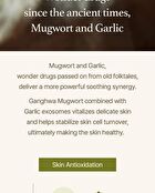 Mugwort Serum - 30ml