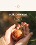 Fig Cleansing Oil - 2023 Version - 200ml