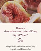 Fig Cleansing Oil - 2023 Version - 200ml