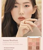 Shadow Palette - 9 Types - #10 Autumn Breeze