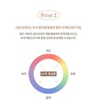 dasique Pro Concealer Palette - 2 Types - #02 Medium Cover