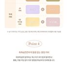 dasique Pro Concealer Palette - 2 Types - #02 Medium Cover