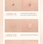 dasique Pro Concealer Palette - 2 Types - #02 Medium Cover