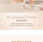 dasique Pro Concealer Palette - 2 Types - #02 Medium Cover
