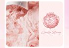 Shadow Palette Ice Cream Edition - 3 Types - #19 Candy Berry