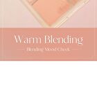 dasique Blending Mood Cheek Tea Blending Edition - 2 Types - #01 Warm Blending